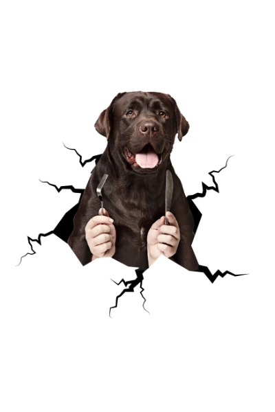 Decal — print-on-demand product photo