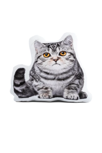 Plush Pet Pillow — print-on-demand product photo